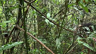 A slut with perfect natural tits teases blowjob in cable car before bent over doggystyle riding