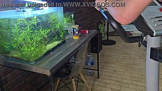 sparrowdox update two from february tenth twenty twenty six