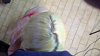 sparrowdox update two from february tenth twenty twenty six