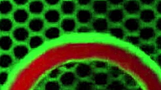 peaches and sub ride james hardon plus rome majors' bbcs milking every drop