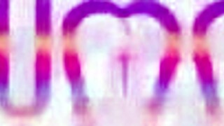 can sexy colombian yessica bunny handle four monster cocks?