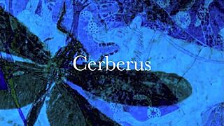 dark lantern's dragonfly retro orgy