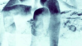 Discover Steamy Vintage Erotic Drawings Masterpieces!