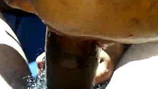 wanna suck this mature shemale knob in the car?