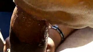 wanna suck this mature shemale knob in the car?