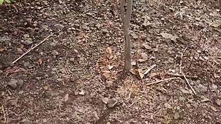 Ranch threesome creampie tears her pussy in woods!