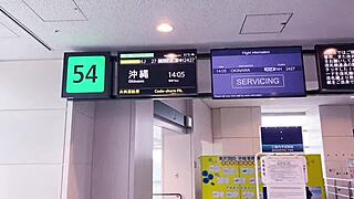 okinawa hibiscus nipples fucked wildly in sleep frenzy