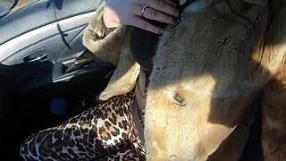 cheating amateur sneaks outdoor cock sucking with friend during fur-coat shopping tease