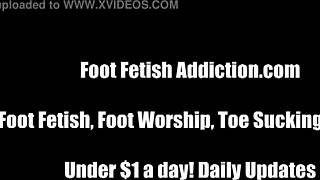 clean my shoes with your filthy tongue now
