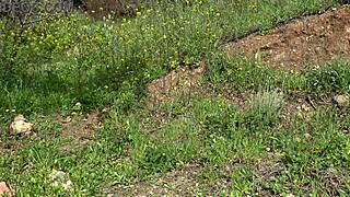 american tourist shocked as dealer gapes pussy with used dildo