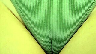curvy amateurs rub juicy puffy pussies closeup pov compilation