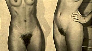 my vintage interracial blowjobs with huge black cocks