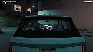 uhh in gta 5 i uh picked up this hot hooker for car service fun