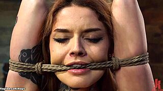 Tattooed slut bound and toy-fucked in hardcore BDSM