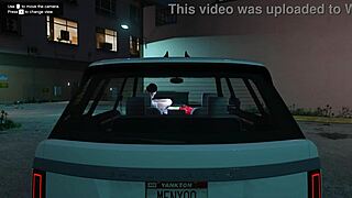 uhh in gta 5 i uh picked up this hot hooker for car service fun