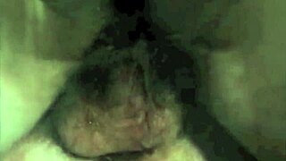 Vintage bizarre retro film: hairy pussy fucking in antique lantern style diaries.