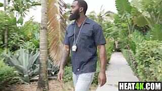 harley quinn parody goth clown chase cory chase