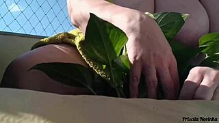 watering my plants totally naked on the balcony for all to see part 02