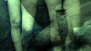 Vintage bizarre retro film: hairy pussy fucking in antique lantern style diaries.