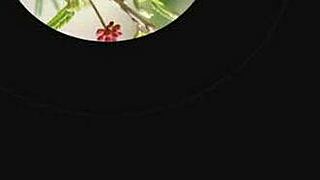 hyderabad's sirisha fingers herself live 😍🔥