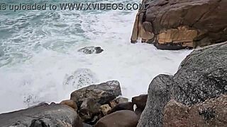 saymon fitness, eu experimentei a buceta delícia da brenda floripa nas rochas do praia, que tesão louco