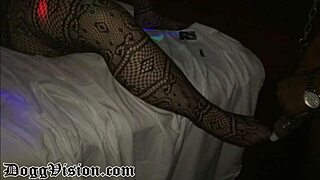 swingers party ends with massive jizz blast on bbw