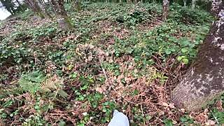 forest stranger flashes nude joins risky public jerkoff fuck
