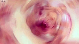 i love bbc destroying sussy sweet's ass pussy dp