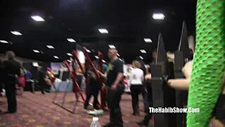 Denver Exxxotica 2017 pornstars show exclusive booty