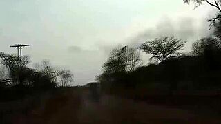 African babe gets backseat fucked on safari