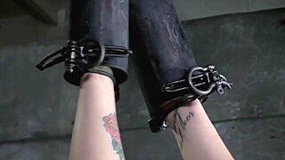 Tattooed bdsm sub dominated with clamps and gloves