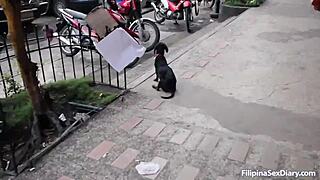 thick filipina pounded doggystyle hard